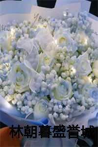 林朝暮盛誉城叫什么名字