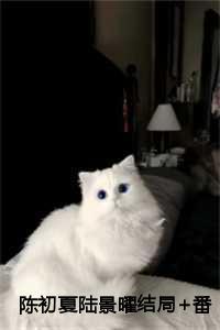 陆景乔与慕初夏的