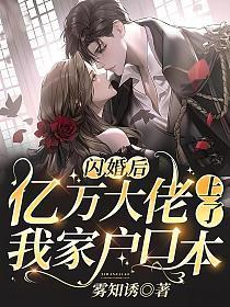 闪婚来了亿万豪宠