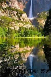 第一章半身风雨半身伤