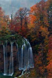 被拐后我重生了