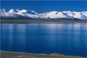 隐世富豪免费阅读无广告