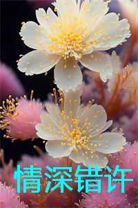 情深许许什么意思