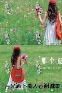 月光洒下离人巷谢诚景：结局+番外