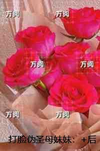 打脸伪圣母妹妹:结局+番外新书