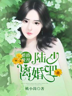 婚路漫漫:陆少离婚吧!